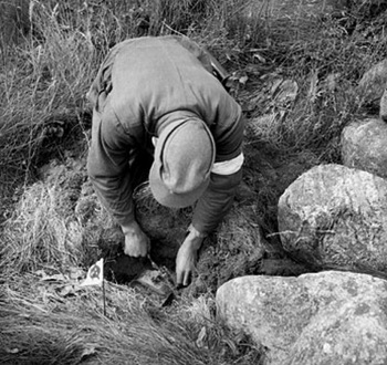 A German prisoner engaged in mine clearance duties near Stavanger unearths an anti-personnel mine.jpg