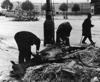Desperate Berliners cut meat from a dead horse in the days after the war’s end.jpg