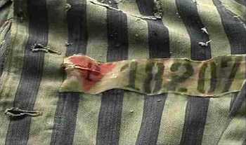 Nazi concentration camp badge.jpg