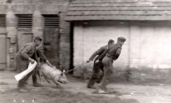 Nazi stealing a pig from Ukrainians - 1942.jpg