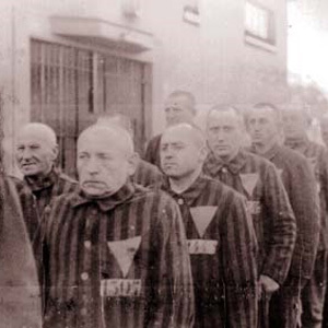 The Nazis forced gay men to wear pink triangles in concentration camps during World War II.jpg