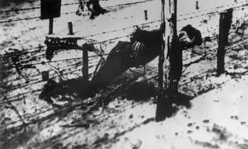 The body of Yakov Dzhugashvili on barbwire in Sachsenhausen concentration camp.jpg