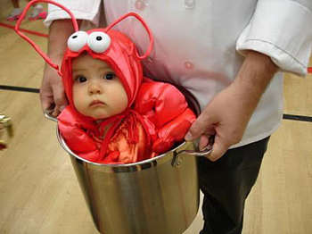 baby-lobster.jpg