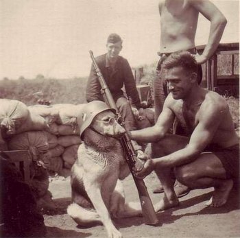 german dog soldier.jpg